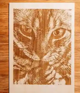 Basswood Plywood Engraving